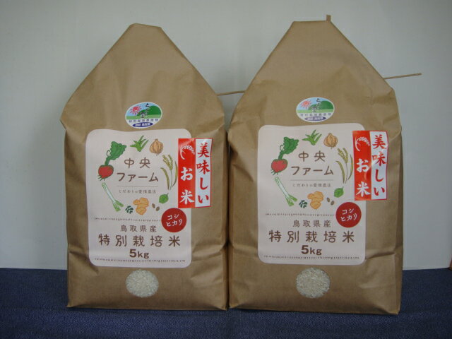 【ふるさと納税】308　鳥取県産特別栽培米こしひかり（10kg）
