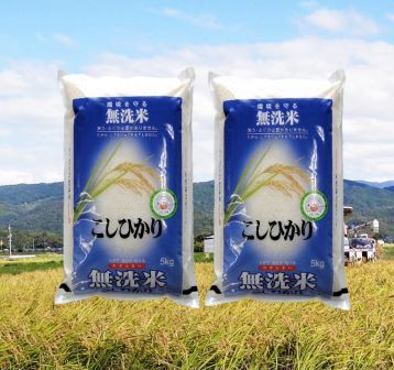 【ふるさと納税】310　鳥取のうまい米（無洗米10kg）　こしひかり　コシヒカリ　送料無料