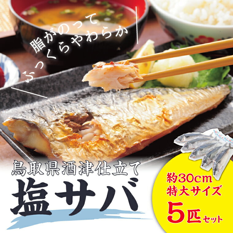 1170 塩サバ 5本セット　　　さば　　鯖　　送料無料