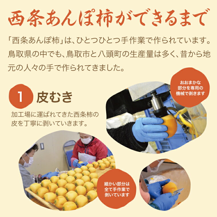 【ふるさと納税】289 西条あんぽ柿（鳥取いなば農業協同組合）　期間限定　柿