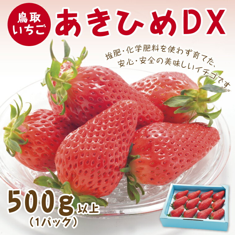 0377 あきひめDX 500g【鳥取いちご】(とみハウス)　 送料無料