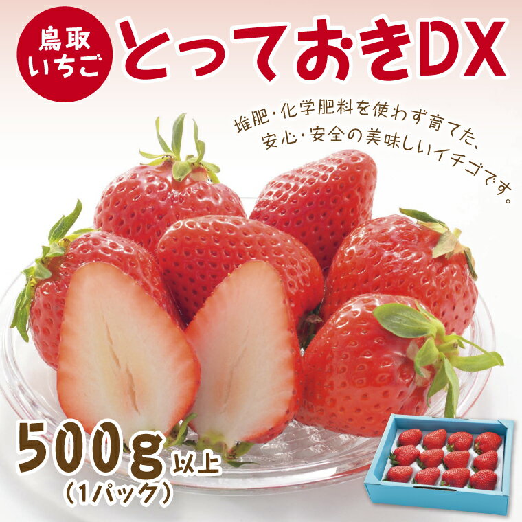 0516 とっておきDX 500g【鳥取いちご】(とみハウス)　　送料無料