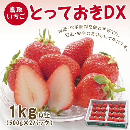 0534 とっておきDX 1kg【鳥取いちご】(とみハウス)　　苺　　期間限定