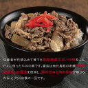 【ふるさと納税】0631 とりちく牛丼の素 8個　　鳥取　レトルト　惣菜　牛丼　送料無料　おすすめ　冷凍　人気 湯煎 温めるだけ 2