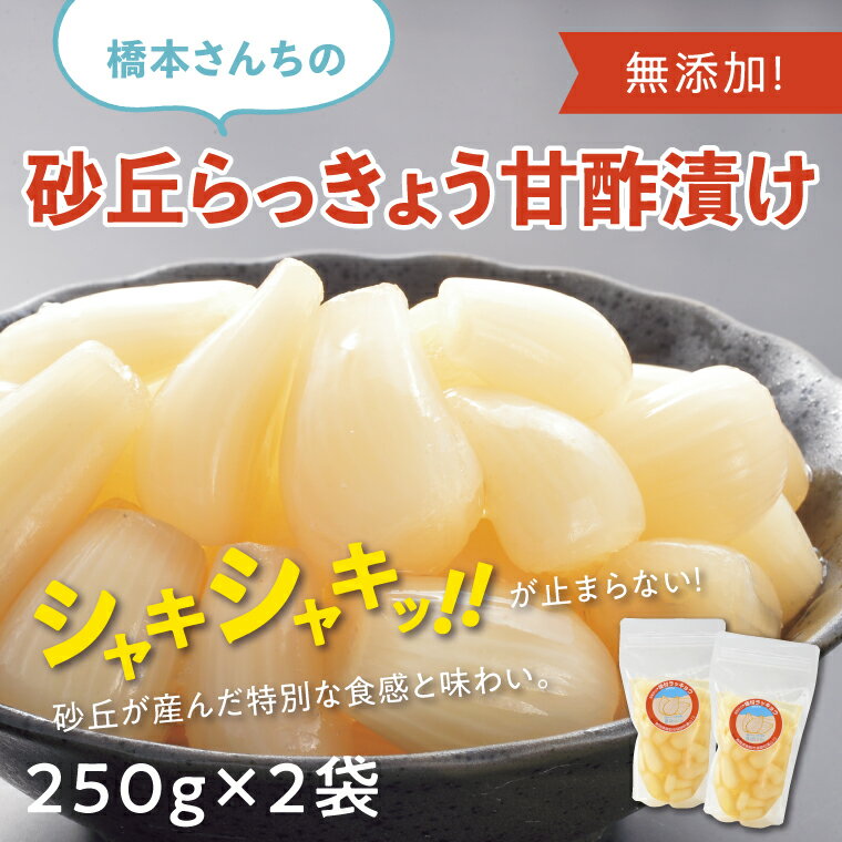 【ふるさと納税】0692 橋本さんちの砂丘らっきょう甘酢漬け 500g らっきょう 鳥取 送料無料