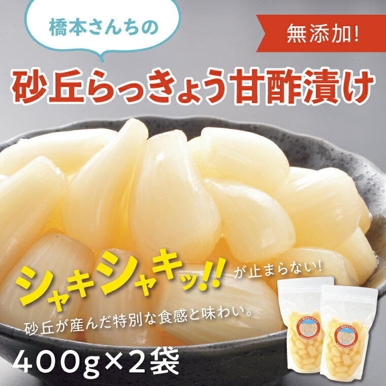 【ふるさと納税】0693 橋本さんちの砂丘らっきょう甘酢漬け 800g　　鳥取　らっきょう　送料無料