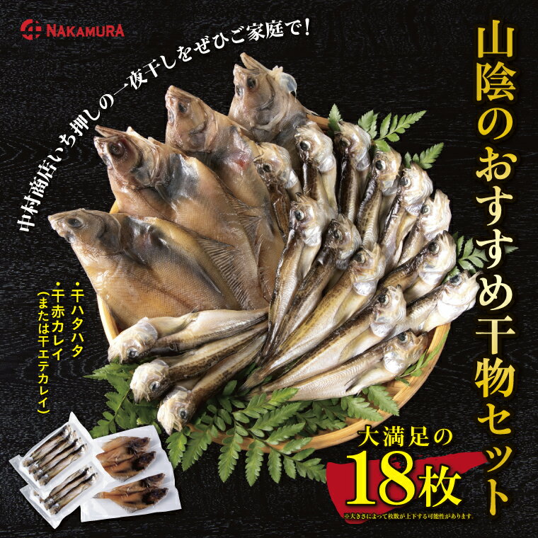 0827 山陰のおすすめ干物セット(中村商店) ハタハタ カレイ 日本海 鳥取