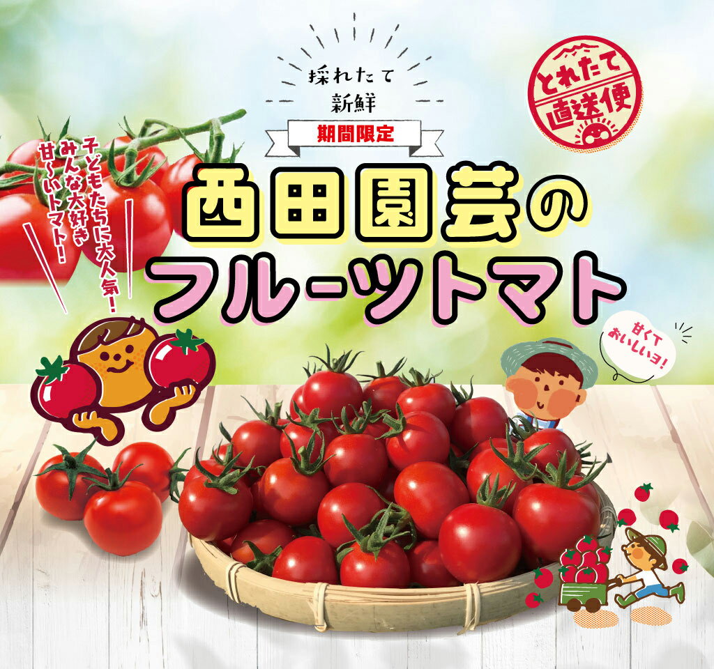 19位! 口コミ数「0件」評価「0」1402 フルーツトマト1.6kg　　鳥取　送料無料