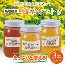 【ふるさと納税】蜂蜜セット B | 鳥取 はちみつ ハチミツ 蜂蜜 国産 送料無料 鳥取県 鳥取市