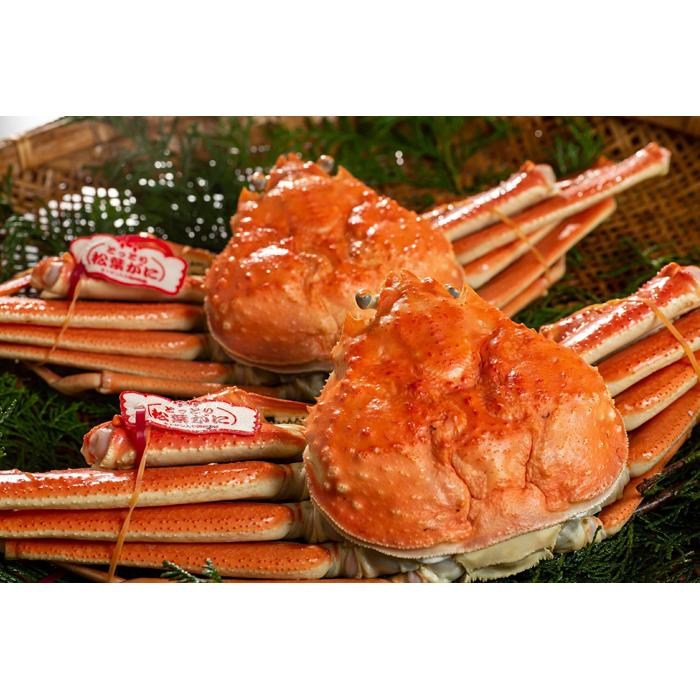 【ふるさと納税】鳥取県産 タグ付き茹で松葉がに【中村商店】 | 国産 タグ付き ズワイガニ 松葉ガニ カニ 蟹 かに 浜茹 カニ鍋 かに鍋 鍋 かにみそ 期間限...