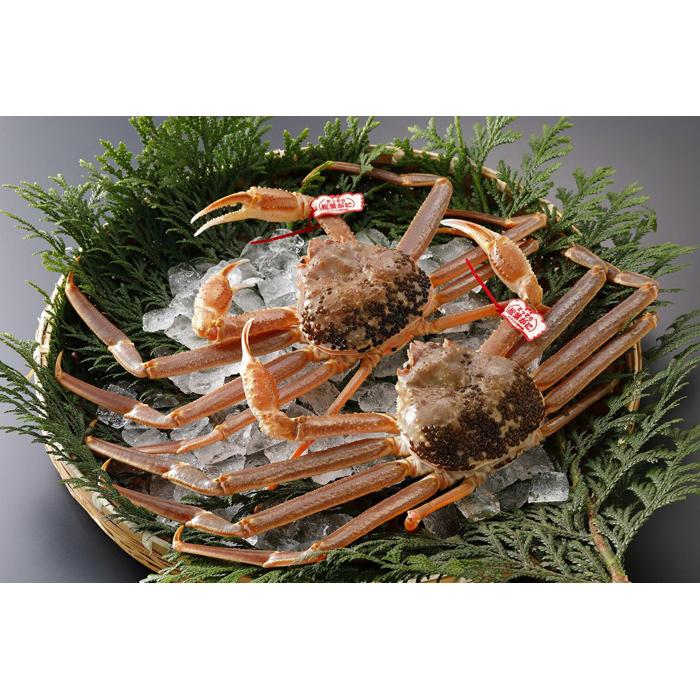 【ふるさと納税】鳥取県産 タグ付き生松葉がに【中村商店】 | 国産 タグ付き ズワイガニ 松葉ガニ カニ 蟹 かに 浜茹 カニ鍋 かに鍋 鍋 かにみそ 期間限定...