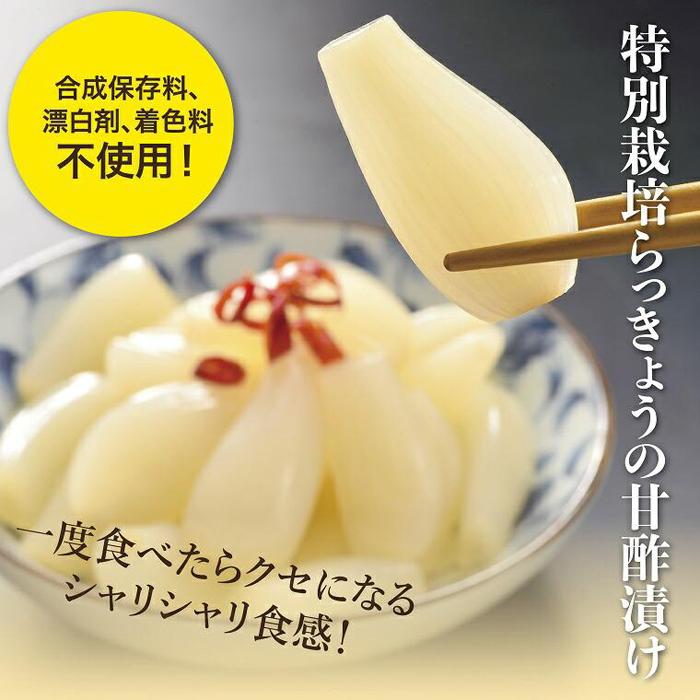 【ふるさと納税】特別栽培らっきょうの甘酢漬(6袋セット) | 鳥取 らっきょう 送料無料 らっきょ ラッキョウ 辣韭 おつまみ 肴 ご飯のおとも カレー 野菜 旬 漬物 漬け物 国産 鳥取産 鳥取砂丘 らっきょう漬け