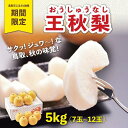 【ふるさと納税】王秋梨 5kg【やぶやフルーツガーデン】 | 鳥取 梨 なし 王秋梨 期間限定 送料無料 鳥取県 鳥取市