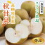 【ふるさと納税】秋甘泉 秀品 2.5kg箱【スクスク農場】 | 鳥取 梨 なし 送料無料 11,000円