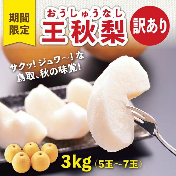 【ふるさと納税】訳あり 王秋梨 3kg【やぶやフルーツガーデン】 | 鳥取 訳あり 梨 なし 王秋梨 期間限定 送料無料 鳥取県 鳥取市