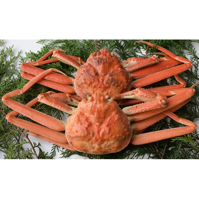 【ふるさと納税】茹で松葉ガニ (小) 【株式会社つづお】 | 国産 ズワイガニ 松葉ガニ カニ 蟹 かに 浜茹 カニ鍋 かに鍋 鍋 かにしゃぶ かにみそ 期間限...