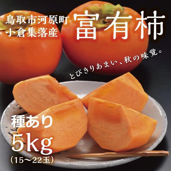 【ふるさと納税】富有柿 5kg箱 (L~2Lサイズ) | 鳥取 柿 期間限定