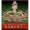 【ふるさと納税】特選とっとり松葉ガニ「五輝星(いつきぼし)」【山根商店】 | 鳥取 カニ 蟹
