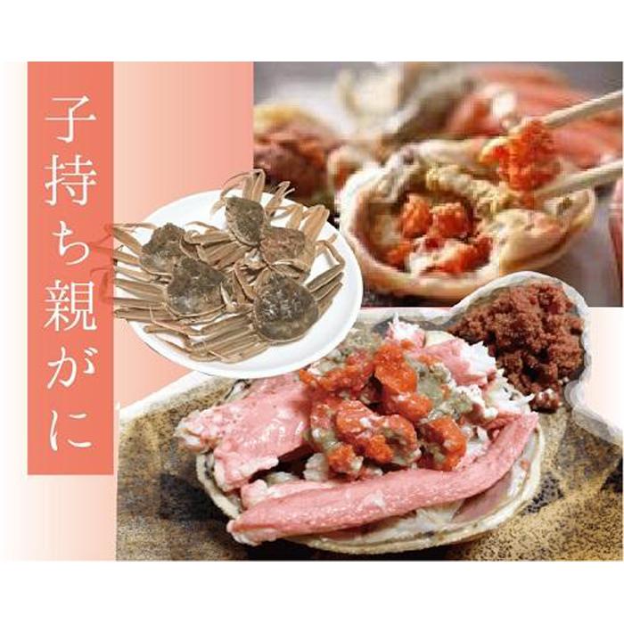 【ふるさと納税】特選とっとりセコガ二 (親ガニ)5枚セット【山根商店】 | 国産 ズワイガニ 松葉ガニ カニ 蟹 かに 浜茹 カニ鍋 かに鍋 鍋 かにしゃぶ か...