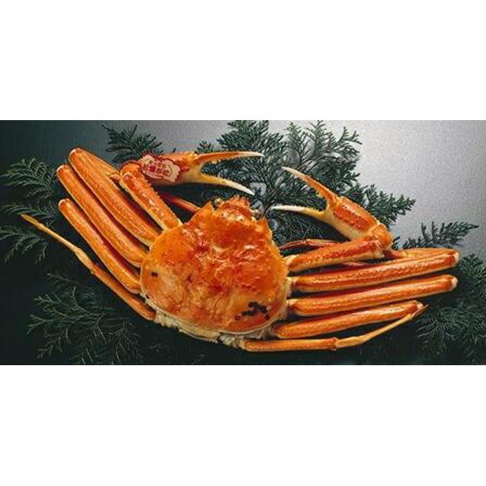 【ふるさと納税】浜茹で特選とっとり松葉ガニ (大)【山根商店】 | 国産 ズワイガニ 松葉ガニ カニ 蟹 かに 浜茹 カニ鍋 かに鍋 鍋 かにしゃぶ かにみそ ...