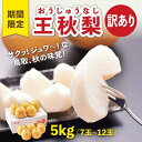 【ふるさと納税】訳あり 王秋梨 5kg【やぶやフルーツガーデン】 | 鳥取 訳あり 梨 なし 王秋梨 期間限定 送料無料 鳥取県 鳥取市