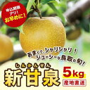 【ふるさと納税】新甘泉 5キロ【安田農園】 | 鳥取 梨 なし 期間限定 送料無料