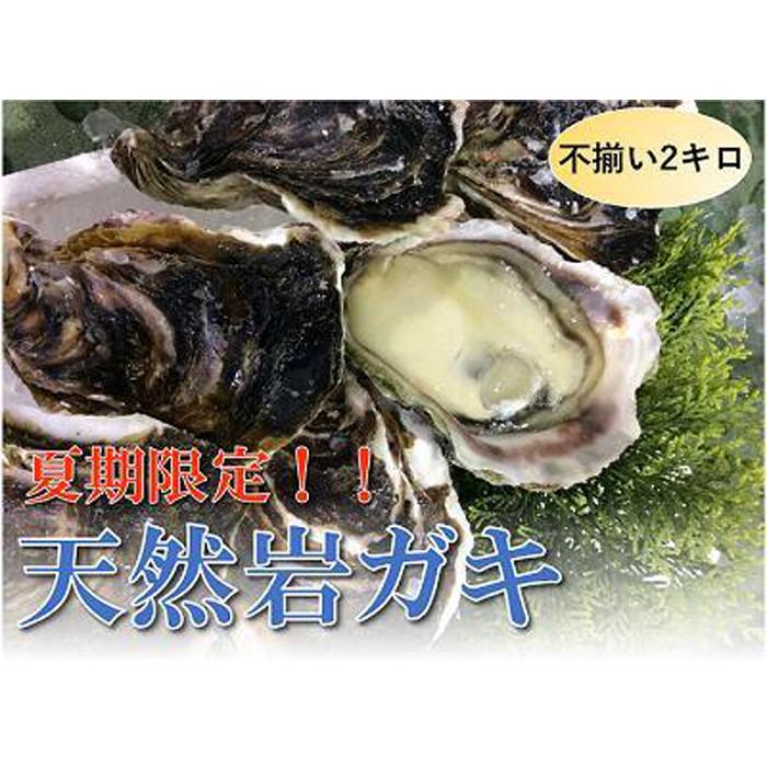 [魚倉]不揃い 天然岩ガキ 2kgセット