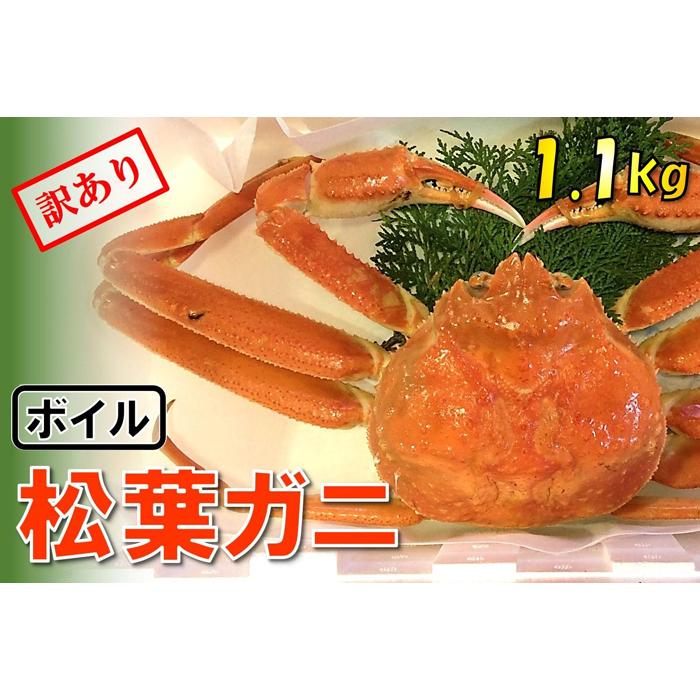 【ふるさと納税】【魚倉】足1本なしボイル松葉ガニ (特特大1,100g) 訳あり | 鳥取 かに 蟹