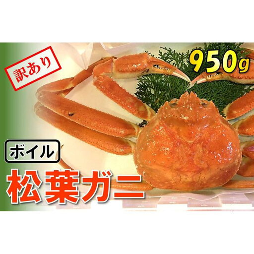 【ふるさと納税】【魚倉】足1本なしボイル松葉ガニ (特大950g) 訳あり | 鳥取 かに 蟹 【ふるさと納税】【魚倉】足1本なしボイル松葉ガニ (特大950g) 訳あり | 鳥取 かに 蟹