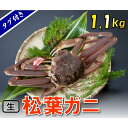 【ふるさと納税】【魚倉】タグ付き生松葉ガニ (特特大1,100g)【到着日指定不可】 | ずわいがに 送料無料