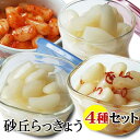 【ふるさと納税】老舗漬物屋さんが作った 砂丘らっきょう漬け4種セット 鳥取県産 | 鳥取 送料無料