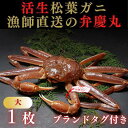【ふるさと納税】松葉ガニ活生「大1枚」ブランドタグ付き※着日指定不可※【弁慶丸】 | 鳥取 送料無料