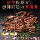 【ふるさと納税】松葉ガニ夫婦 Aセット ブランドタグ付き※着日指定不可※【弁慶丸】 | 鳥取 送料無料