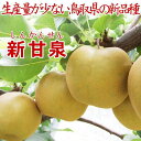 【ふるさと納税】鳥取県産 新甘泉3kg 訳あり【フォーシーズン】 | 鳥取 梨 送料無料