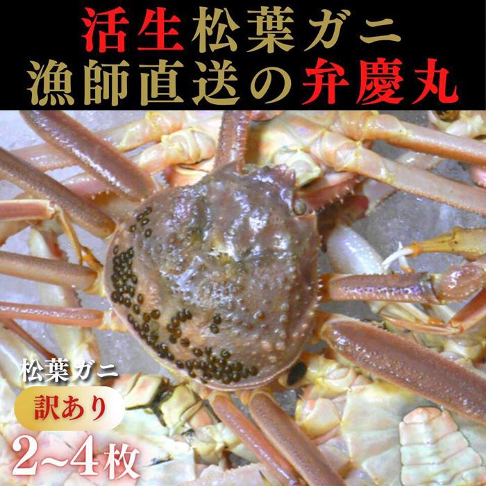 【ふるさと納税】松葉ガニ 訳ありAセット※着日指定不可※【弁慶丸】 | 国産 訳あり ズワイガニ 松葉ガニ カニ 蟹 かに 生 カニ鍋 かに鍋 鍋 かにしゃぶ ...