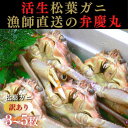【ふるさと納税】松葉ガニ 訳ありBセット※着日指定不可※【弁慶丸】 | 鳥取