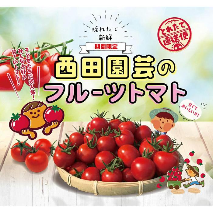 【ふるさと納税】フルーツトマト 1.5kg | 鳥取 送料無料