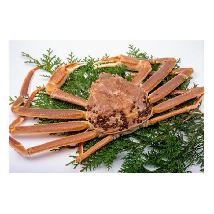 ڤդ뤵Ǽǡۡݡ۶ե ʥܥ 600g ֥ɥաʤ祯 | Ļ衡磻ˡ̵