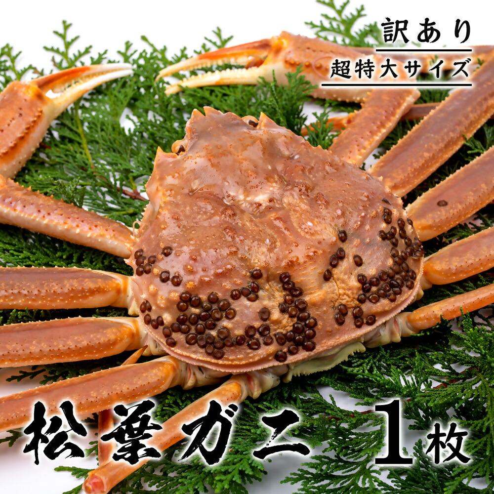 【ふるさと納税】【訳あり】 松葉ガニ(ボイル) 1kg 級 超特大サイズ(さんチョク) | 国産 訳あり ズワイガニ 松葉ガニ カニ 蟹 かに ボイル カニ鍋 ...