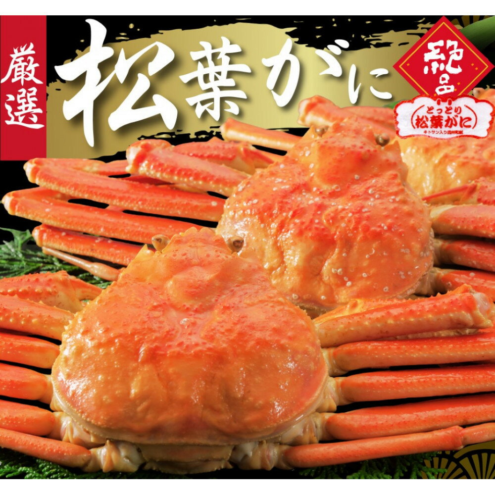 【ふるさと納税】松葉がに タグ付き(茹で)中サイズ 1枚