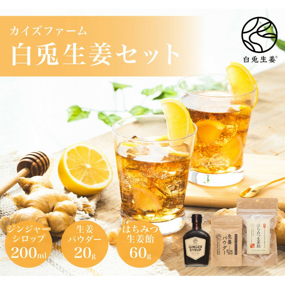 白兎生姜セット しょうが ショウガ 生姜 ジンジャー シロップ 生姜飴 生姜パウダー ふるさと納税 鳥取県 鳥取市 おすすめ カイズファーム ギフト