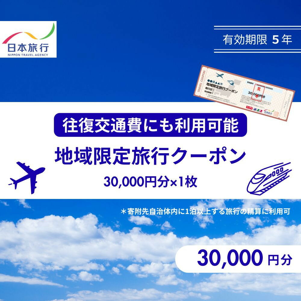 【ふるさと納税】鳥取県鳥取市 日本旅行 地域限定旅行クーポン30,000円分