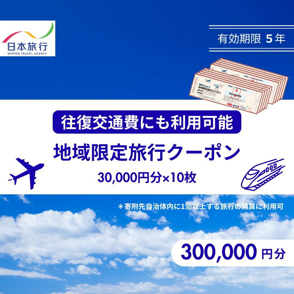 【ふるさと納税】鳥取県鳥取市 日本旅行 地域限定旅行クーポン300,000円分