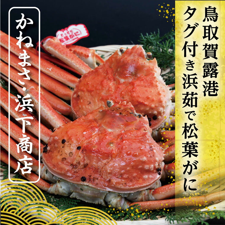 19位! 口コミ数「0件」評価「0」0818 鳥取賀露港 タグ付き浜茹で松葉がに (かねまさ・浜下商店) 　かに　カニ　蟹　ずわいがに　ズワイガニ　茹で　送料無料　期間限定