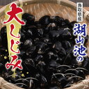 1位! 口コミ数「1件」評価「2」0069 湖山池の大しじみ　　鳥取　シジミ　送料無料