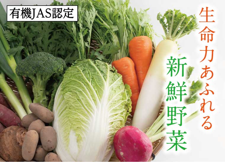 1209 有機JAS認定 冬野菜とお米の詰め合わせセット　　鳥取　オーガニック　送料無料