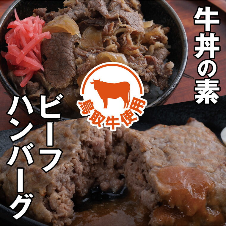 0119 とりちく牛丼の素・鳥取ビーフハンバーグ詰め合わせ