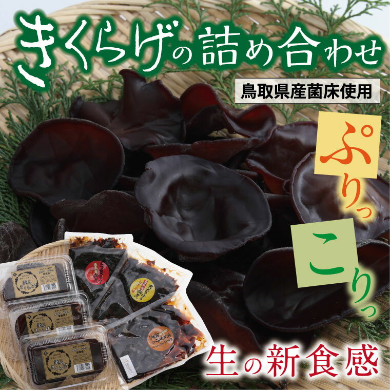 1位! 口コミ数「0件」評価「0」0148 きくらげの詰め合わせ(鳥取県産菌床使用)　　国産　キクラゲ　送料無料