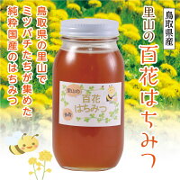【ふるさと納税】159里山の百花蜂蜜