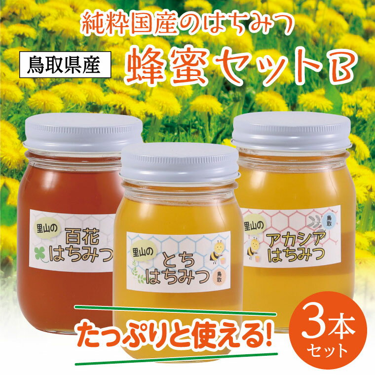 【ふるさと納税】0162 蜂蜜セットB　国産　はちみつ　ハチミツ　送料無料